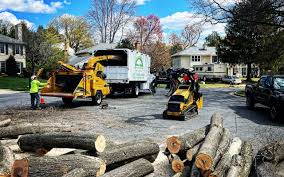 St John, IN Tree Care  Company